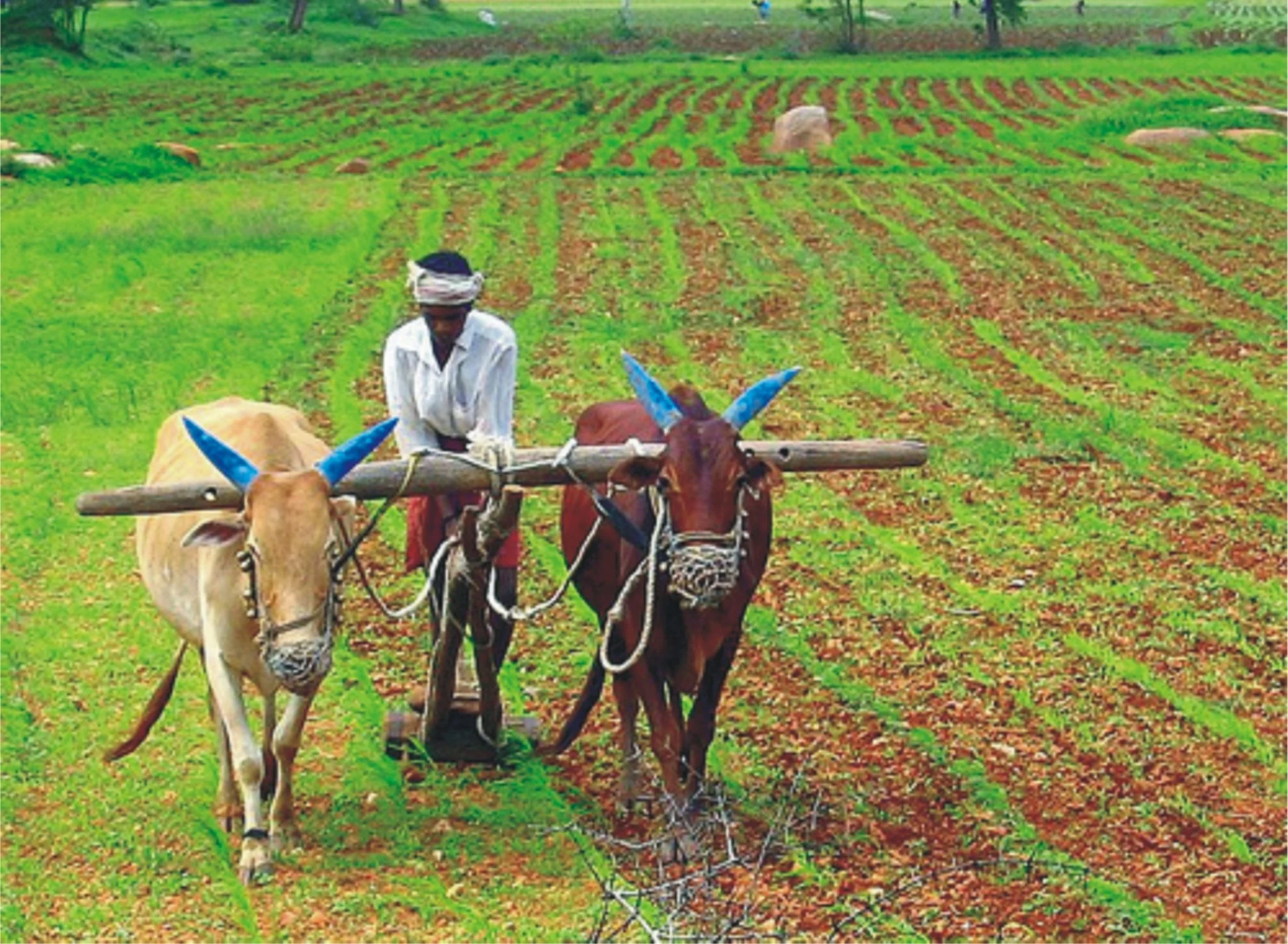 Kerala Bank Loan